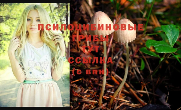прущий лед Балабаново