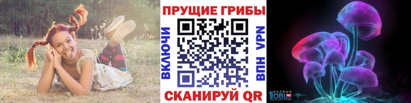 наркота  Лакинск  Псилоцибиновые грибы мухоморы 